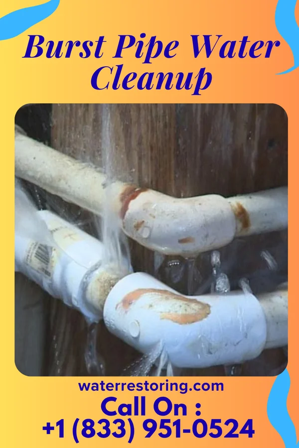 Burst Pipe Water Cleanup in Wayne Heights, PA