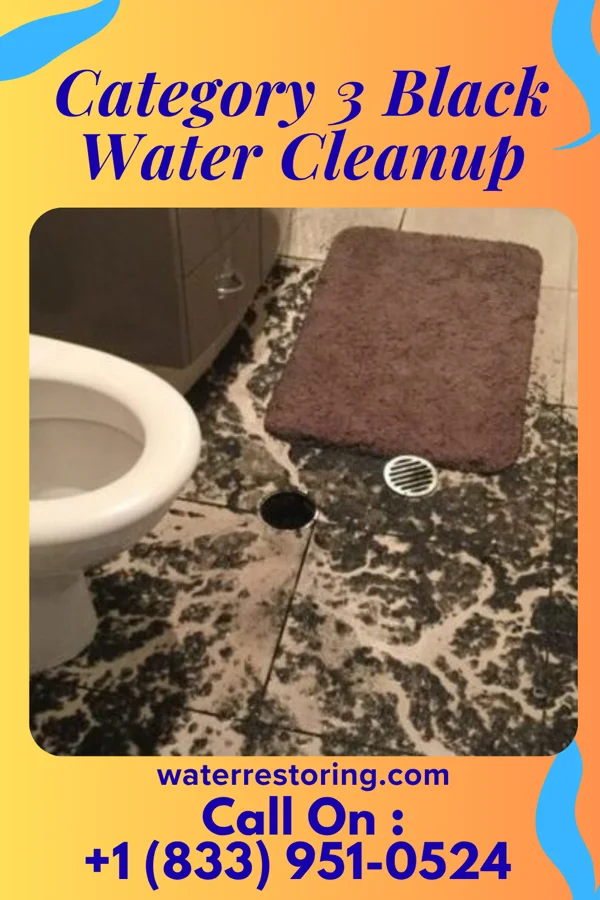 Category 3 Black Water Cleanup in Wayne Heights, PA