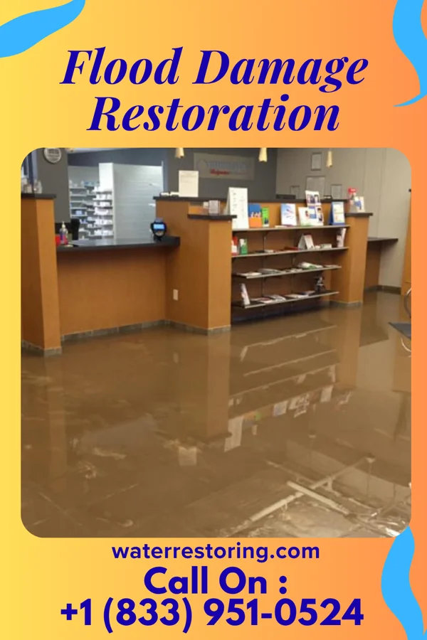 Flood Damage Restoration in Wayne Heights, PA