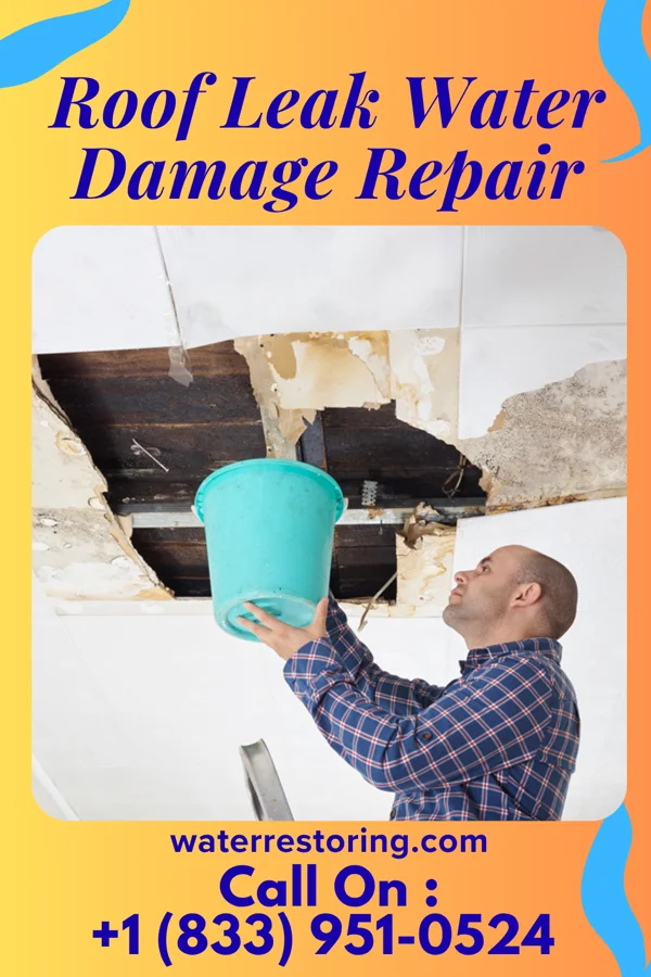 Roof Leak Water Damage Repair in Wayne Heights, PA