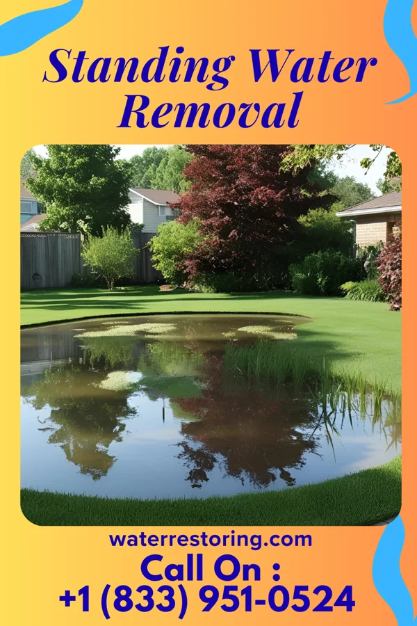 Standing Water Removal in Wayne Heights, PA